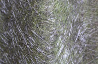 Vines Cross fibreglass roof work